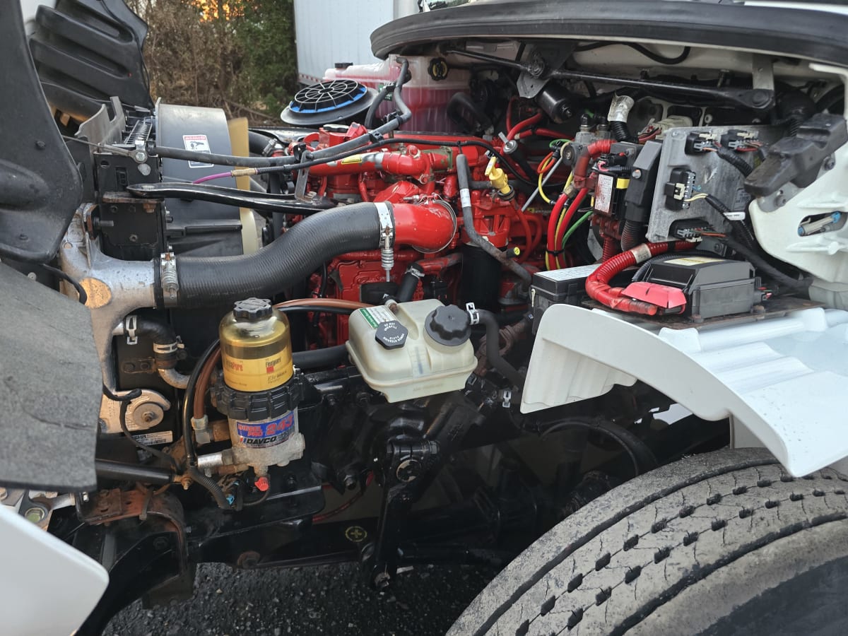 2017 Freightliner/Mercedes M2 106 664838