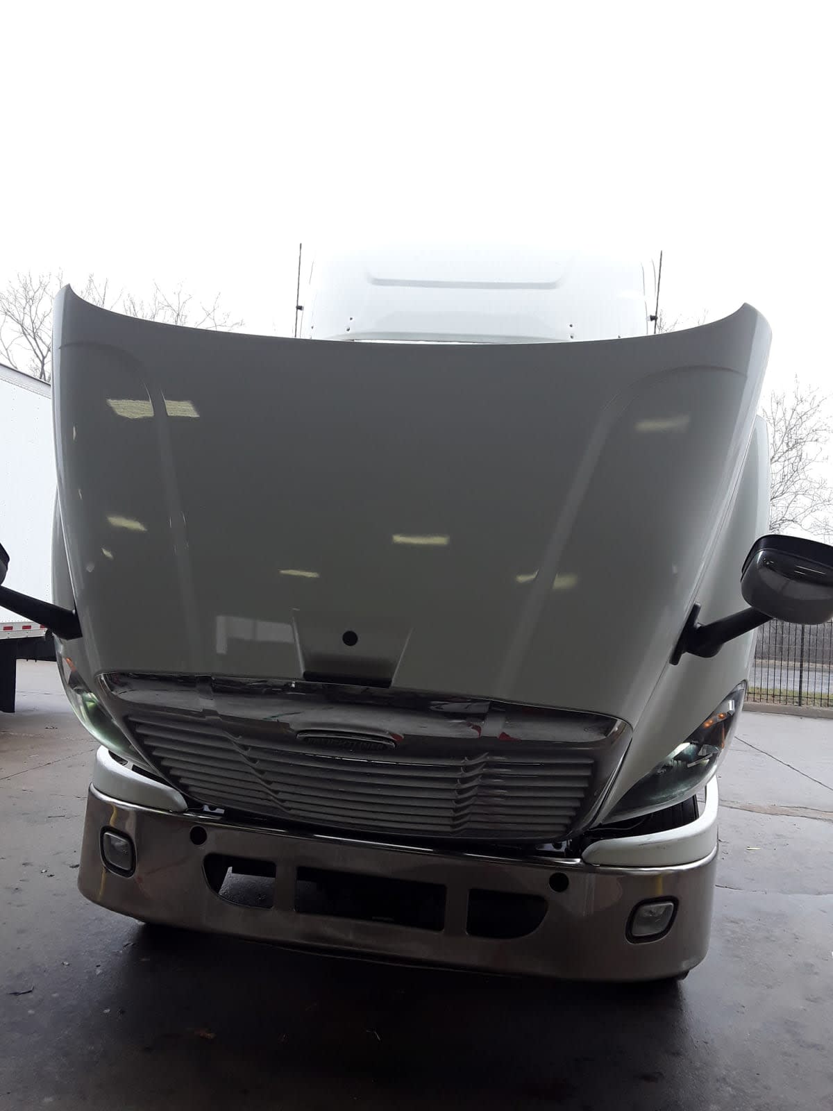 2017 Freightliner/Mercedes CASCADIA 113 665112