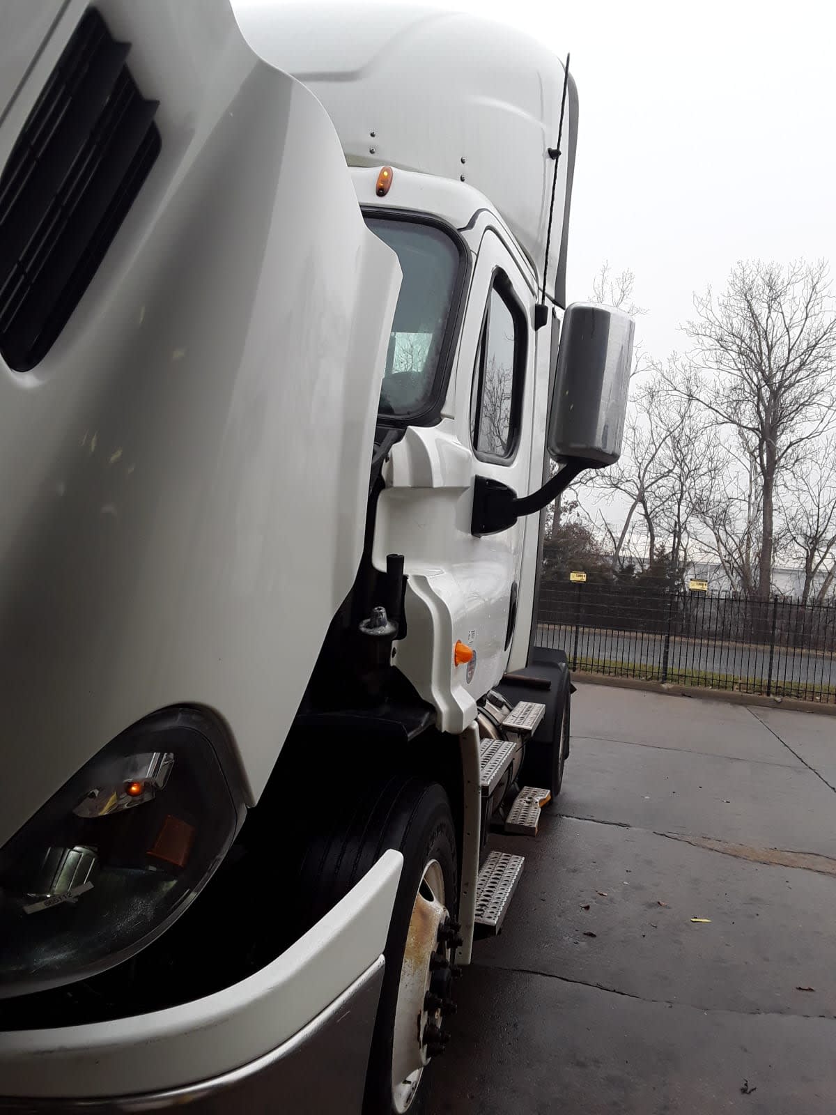 2017 Freightliner/Mercedes CASCADIA 113 665112