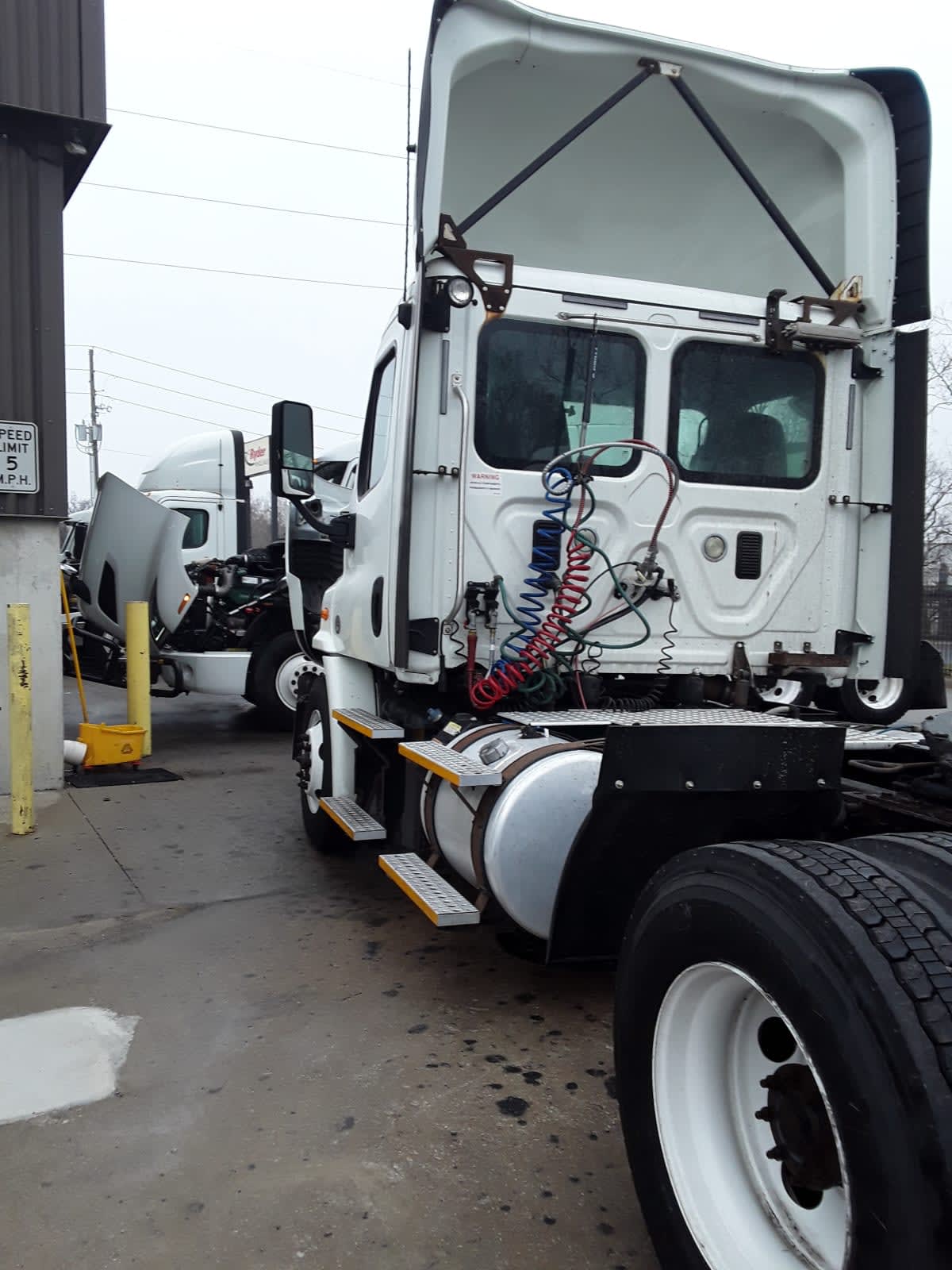2017 Freightliner/Mercedes CASCADIA 113 665118