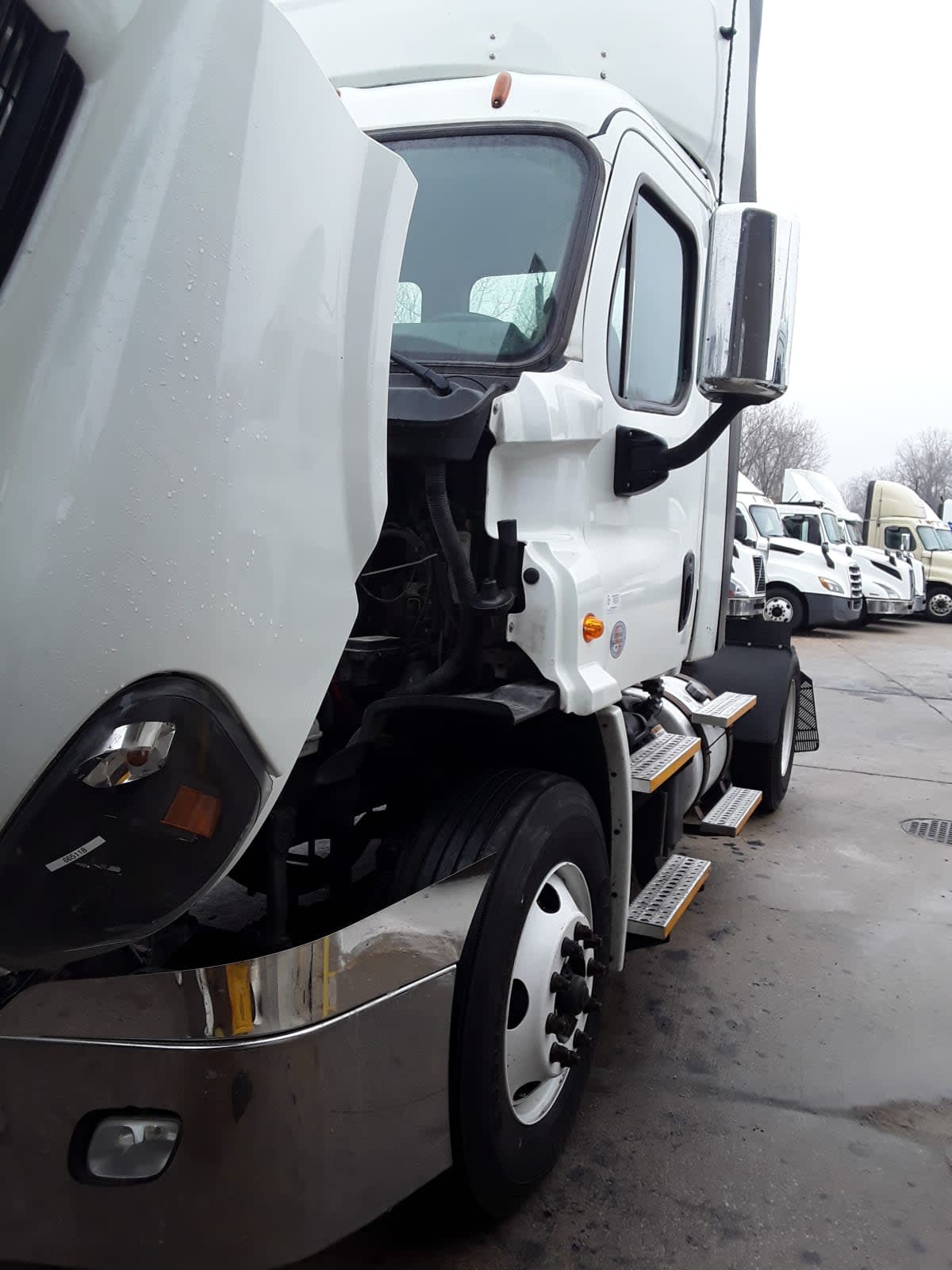 2017 Freightliner/Mercedes CASCADIA 113 665118
