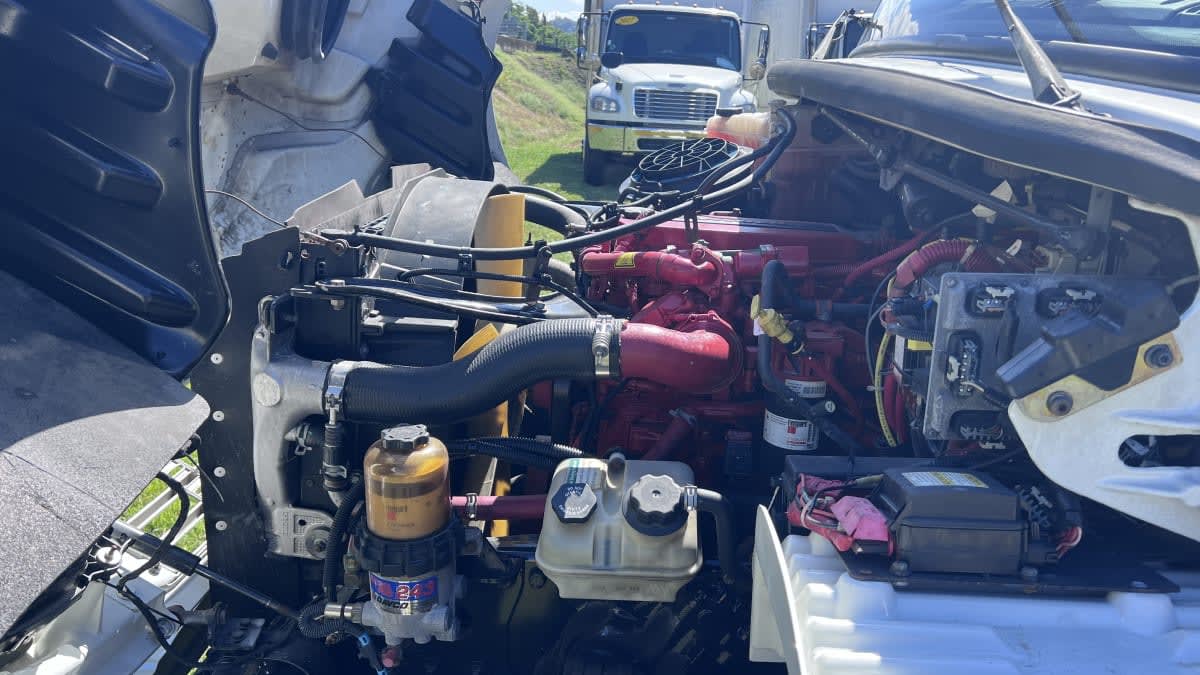 2017 Freightliner/Mercedes M2 106 665970