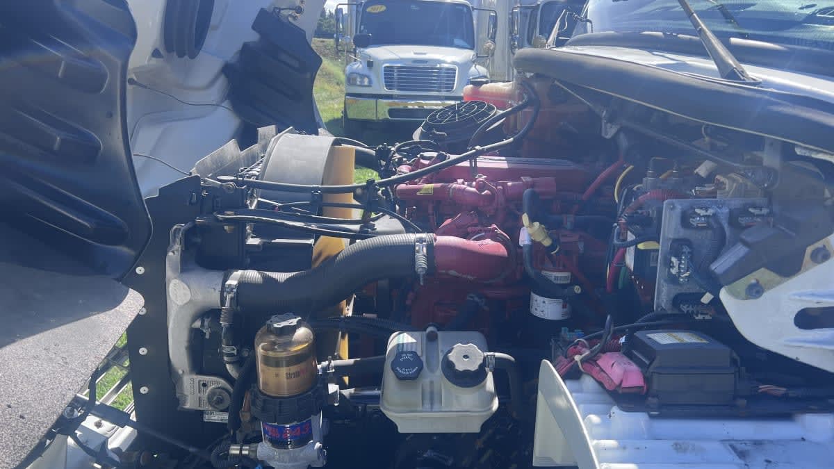 2017 Freightliner/Mercedes M2 106 665971