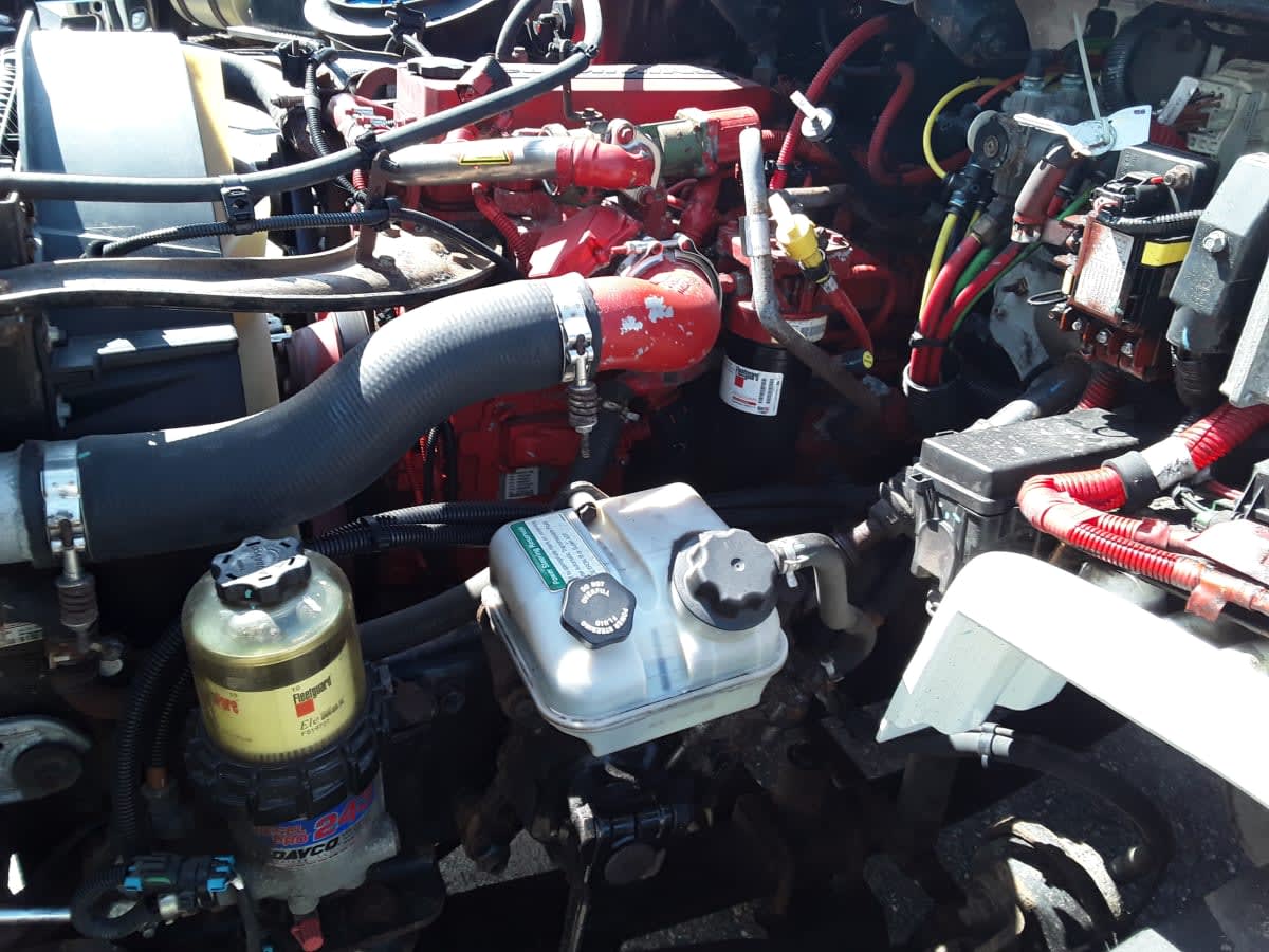 2017 Freightliner/Mercedes M2 106 667112