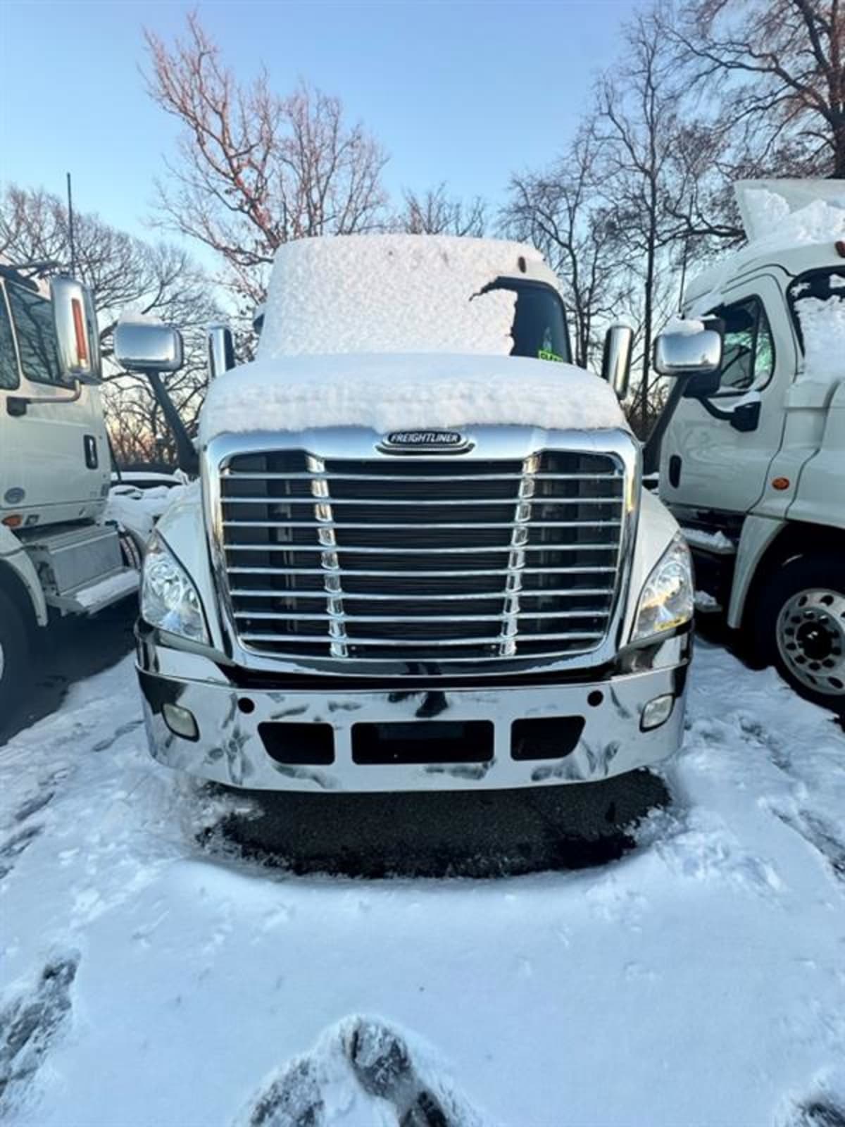 2017 Freightliner/Mercedes CASCADIA 125 667473