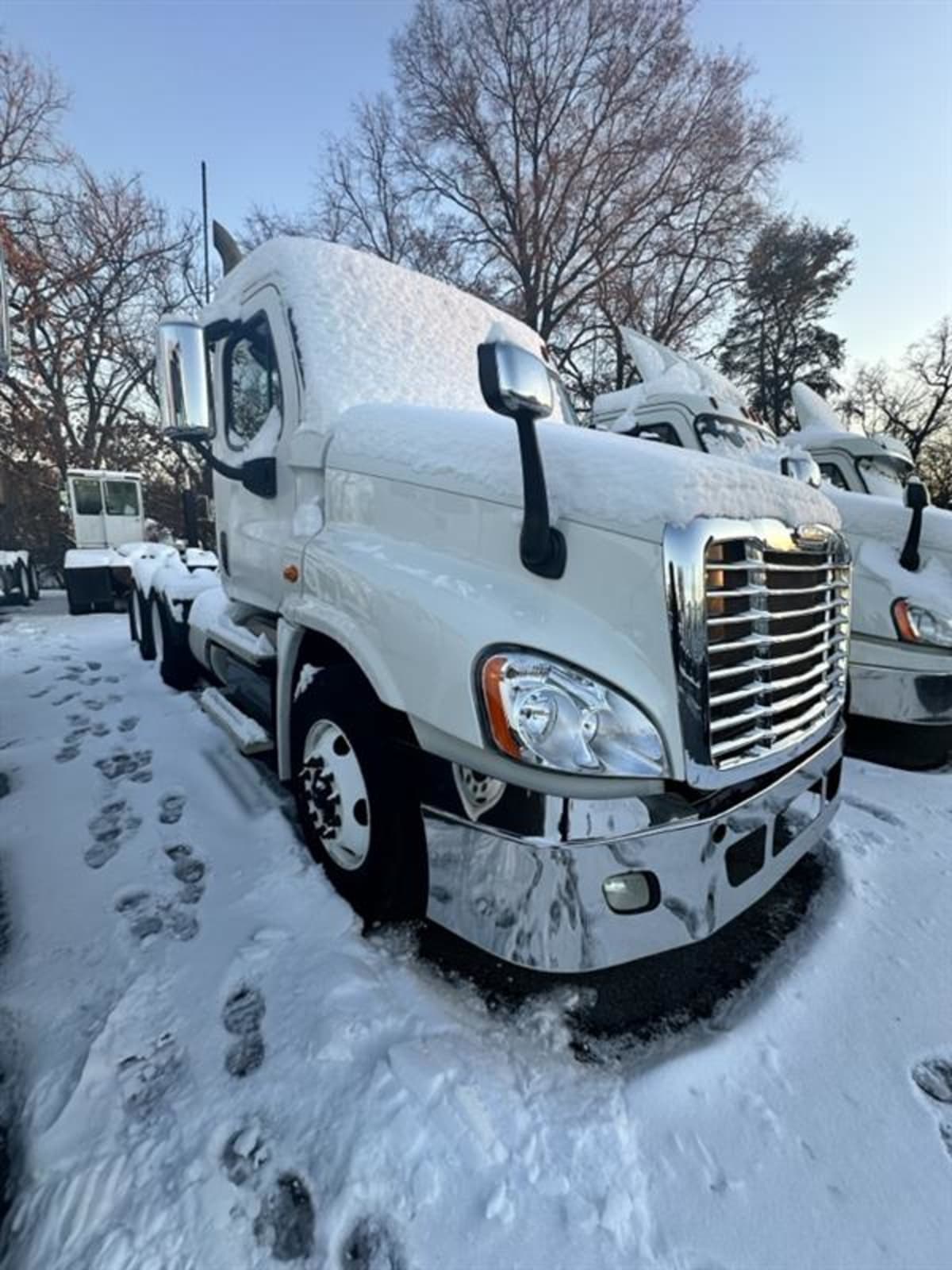 2017 Freightliner/Mercedes CASCADIA 125 667473