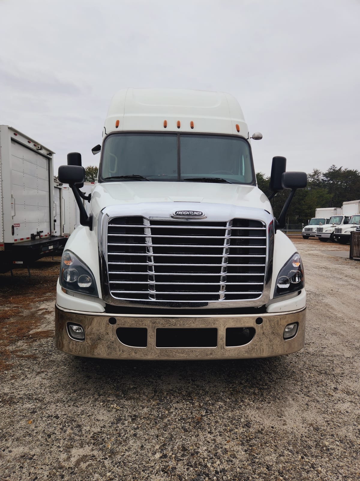 2017 Freightliner/Mercedes CASCADIA 125 667680
