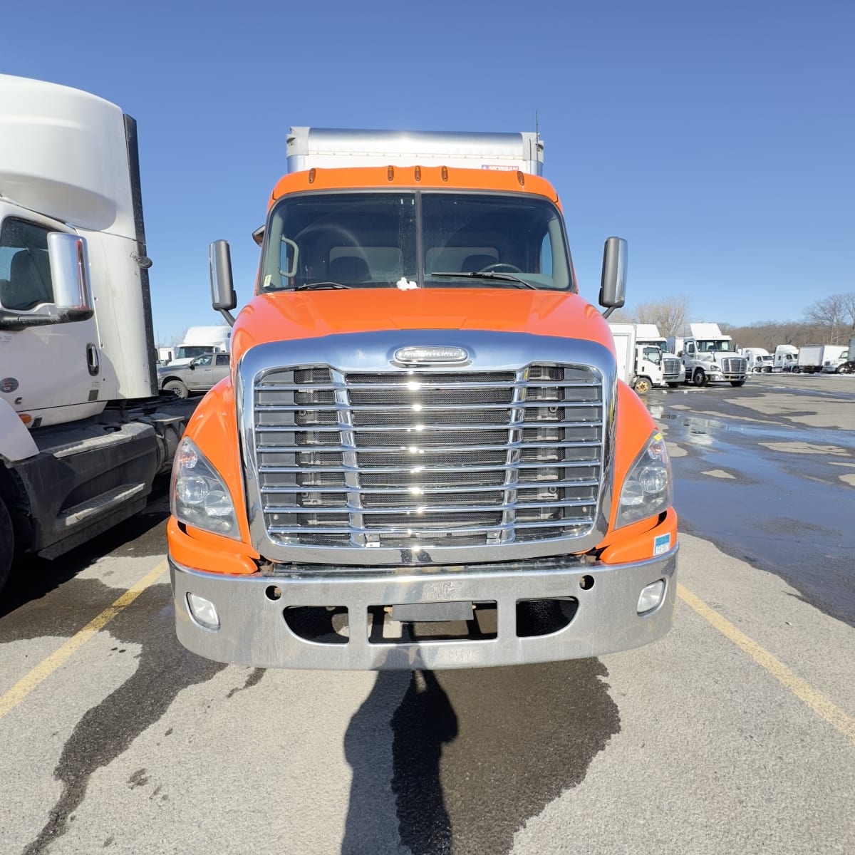 2017 Freightliner/Mercedes CASCADIA 113 667682