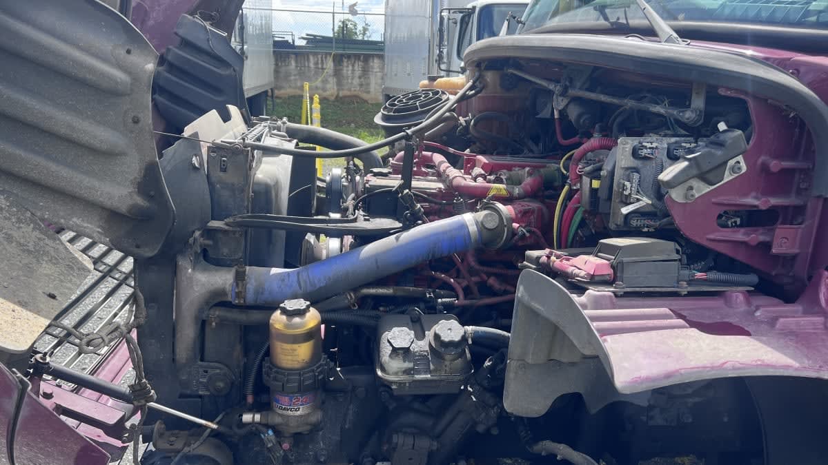 2017 Freightliner/Mercedes M2 106 667833