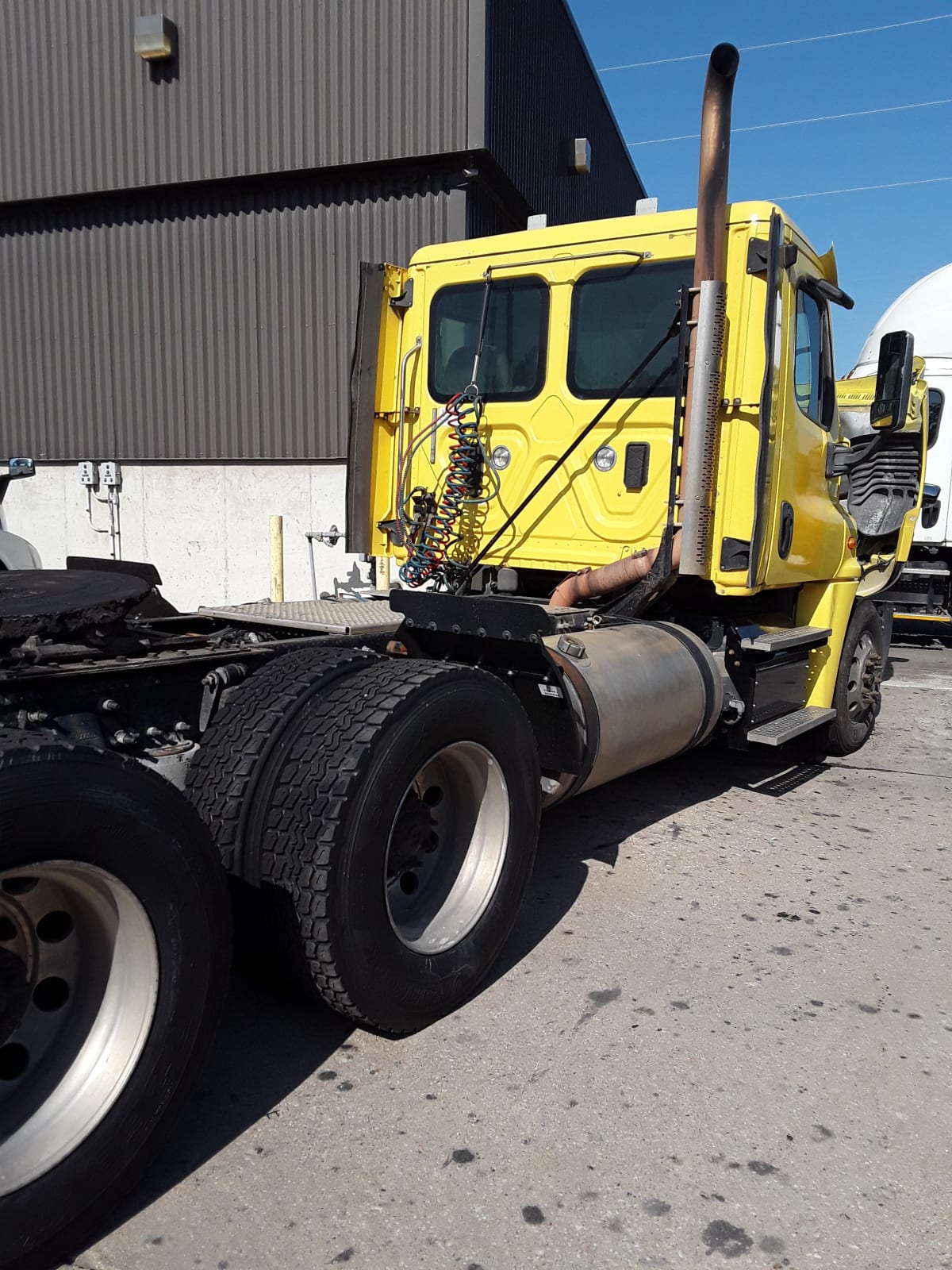 2017 Freightliner/Mercedes CASCADIA 125 667844