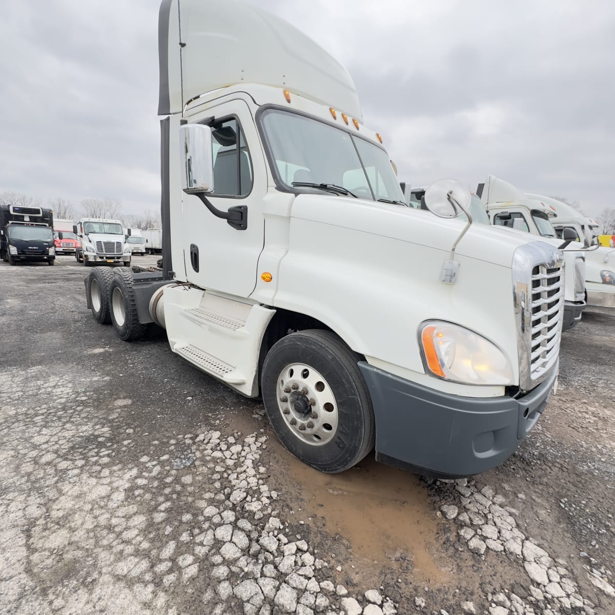 2017 Freightliner/Mercedes CASCADIA 125 669258