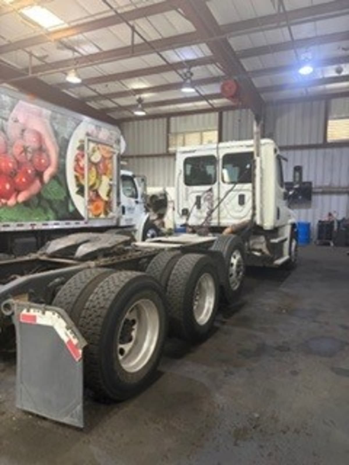 2017 Freightliner/Mercedes CASCADIA 125 670441