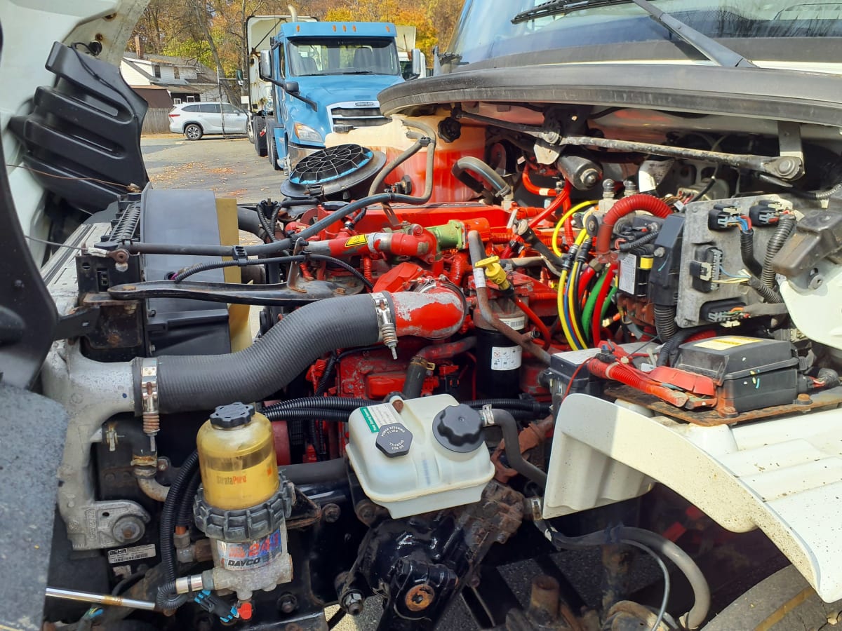 2017 Freightliner/Mercedes M2 106 670896