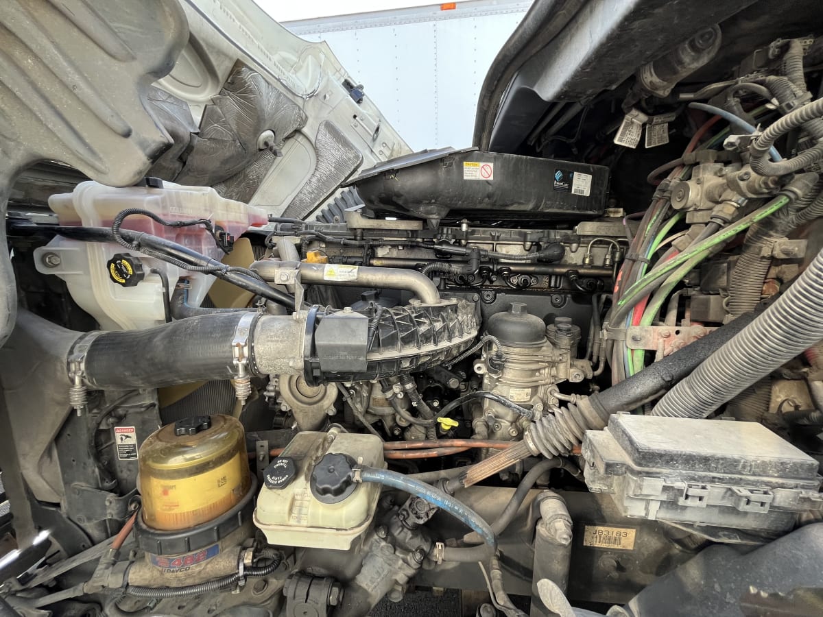 2017 Freightliner - image 8