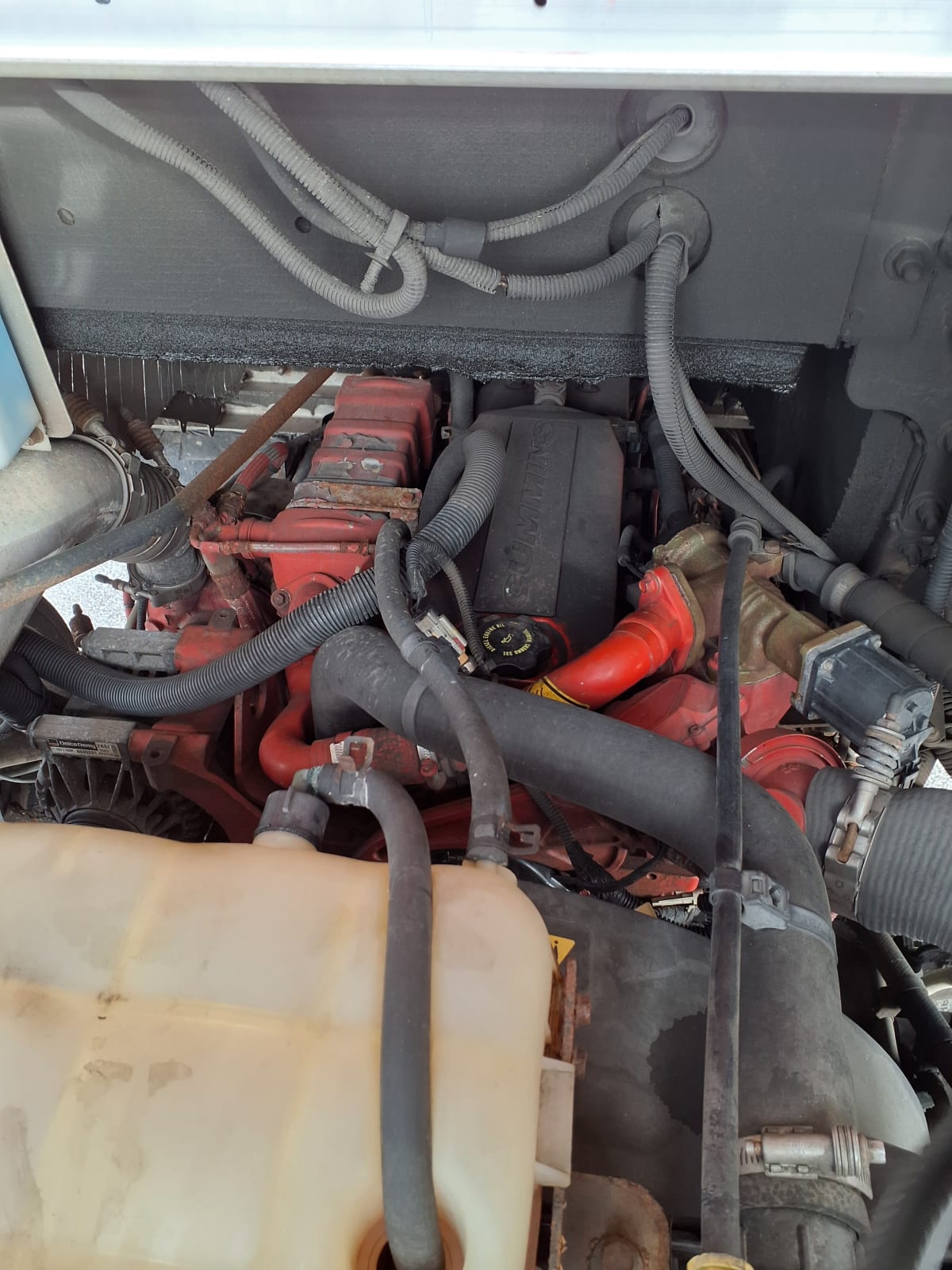 2017 Frtlr Custom Chassis Corp MT55 672074