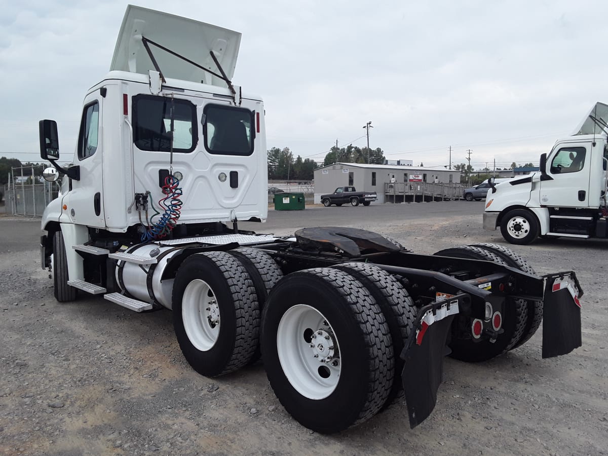 2017 Freightliner/Mercedes CASCADIA 125 673307