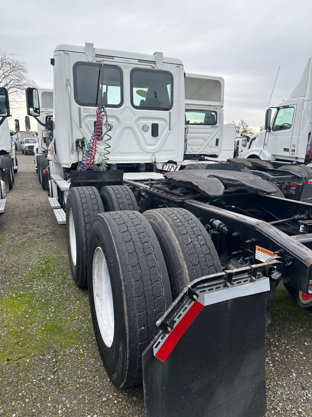 2017 Freightliner/Mercedes CASCADIA 125 673921