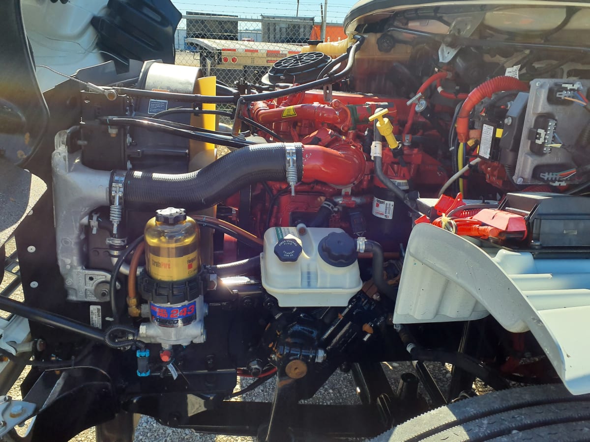 2017 Freightliner/Mercedes M2 106 675981