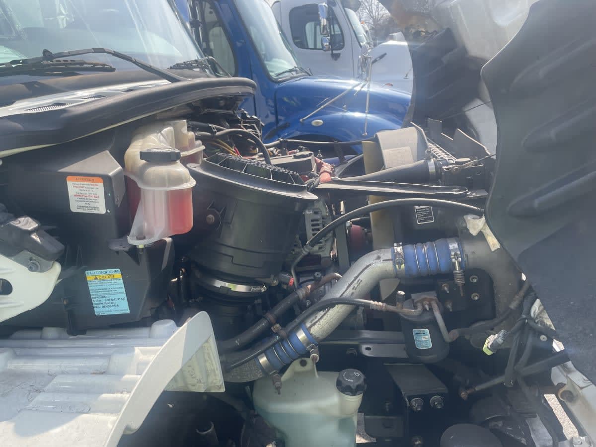 2017 Freightliner/Mercedes M2 106 676113