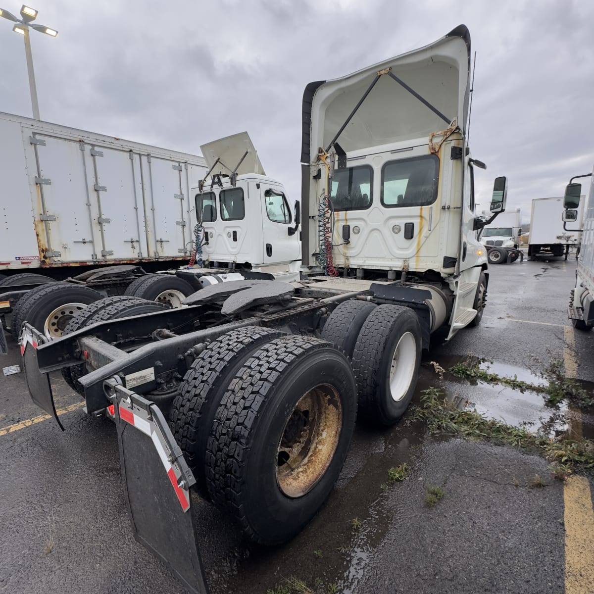 2017 Freightliner/Mercedes CASCADIA 125 676428