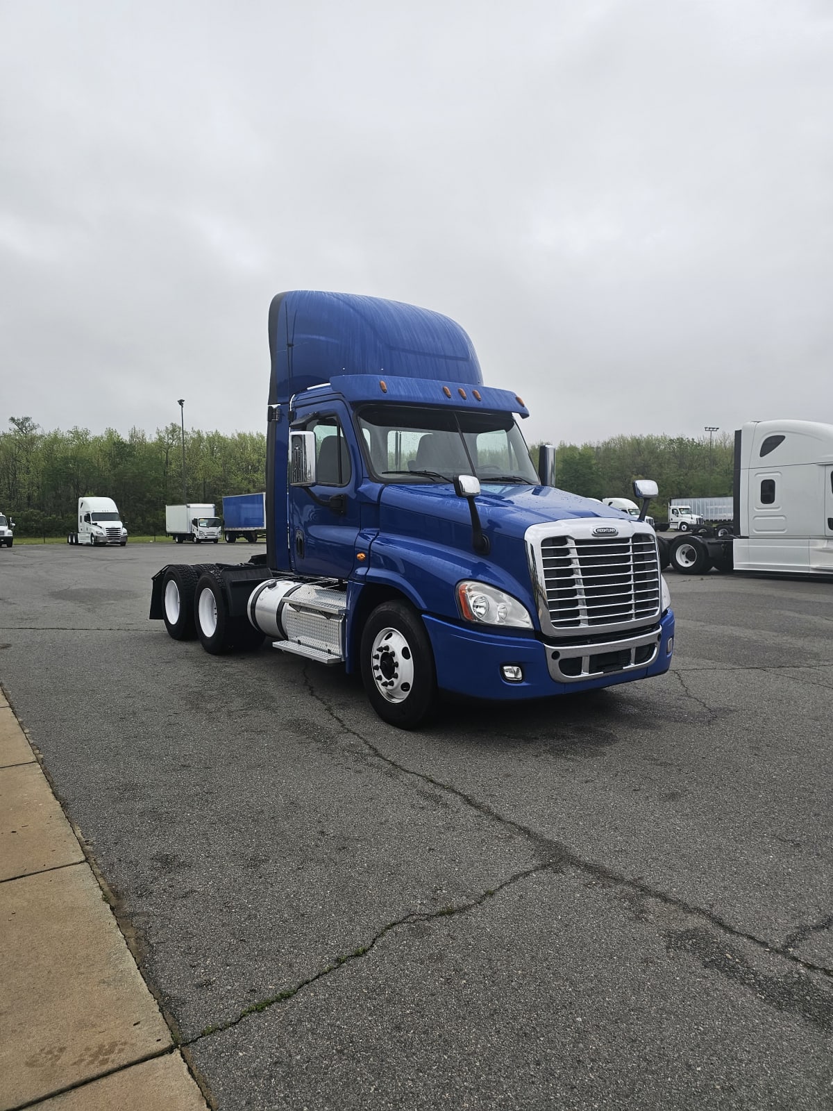 2017 Freightliner/Mercedes CASCADIA 125 677084