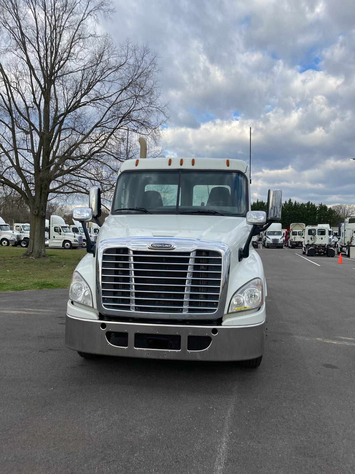 2017 Freightliner/Mercedes CASCADIA 125 677904