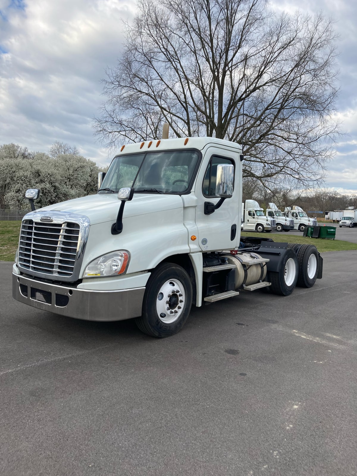 2017 Freightliner/Mercedes CASCADIA 125 677904