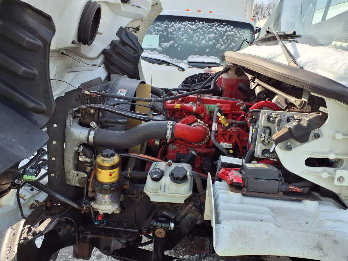 2017 Freightliner/Mercedes M2 106 678003