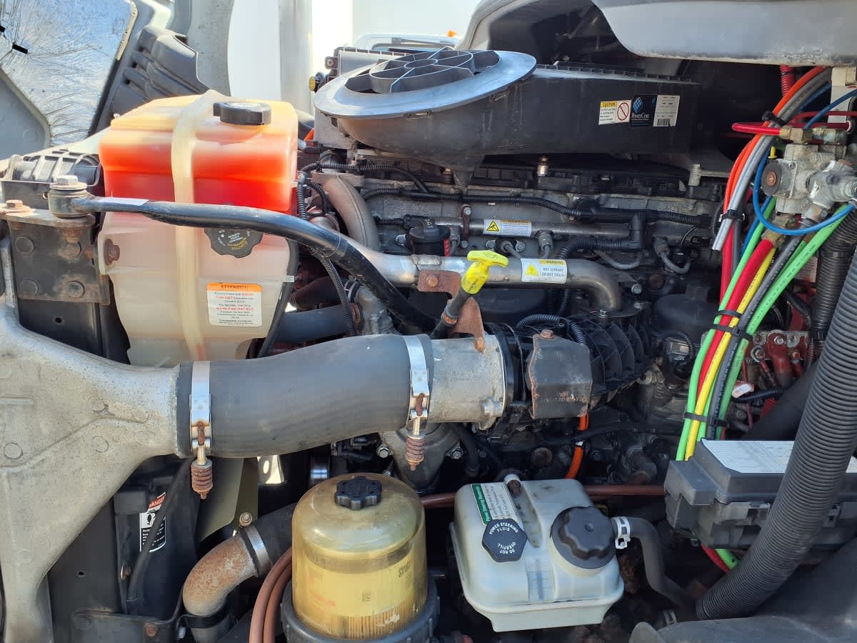 2017 Freightliner - image 8