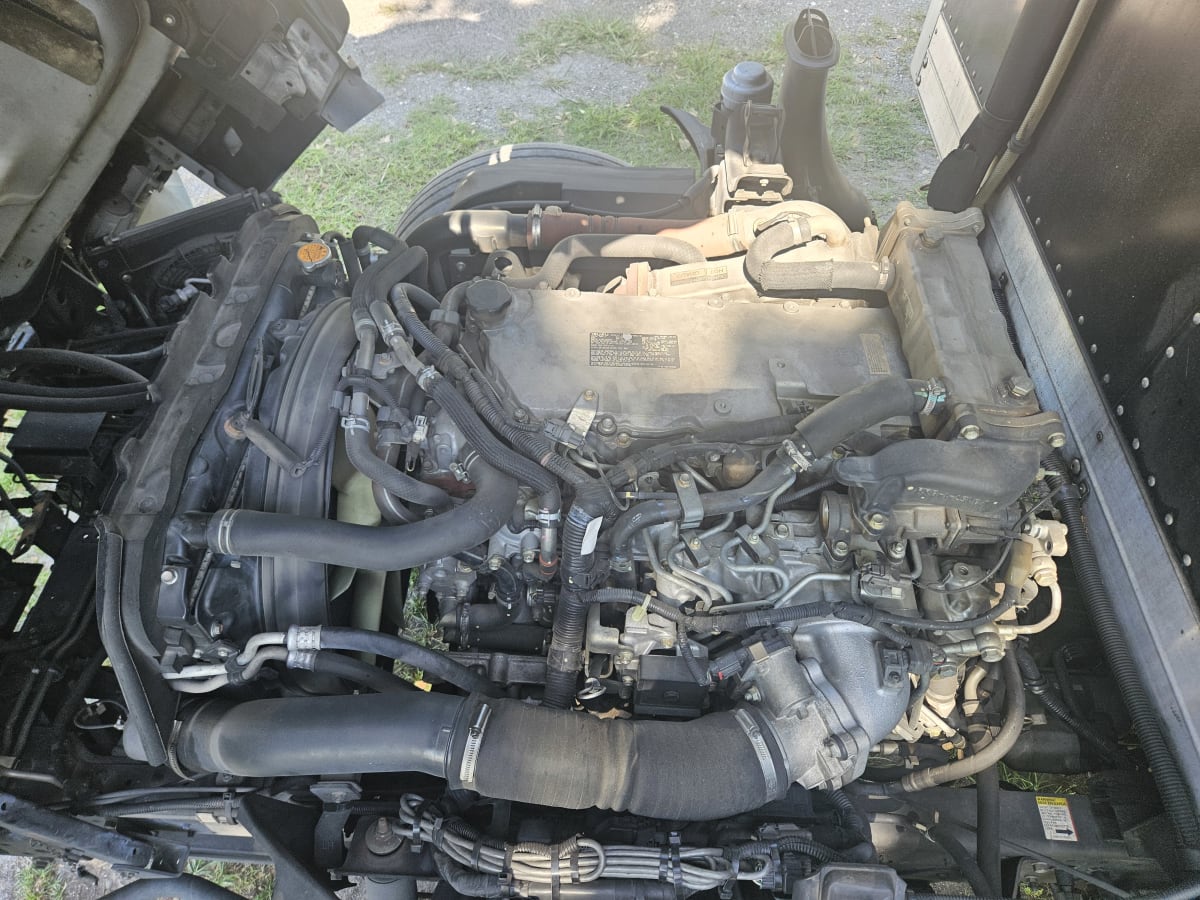 2017 Isuzu NQR 683440