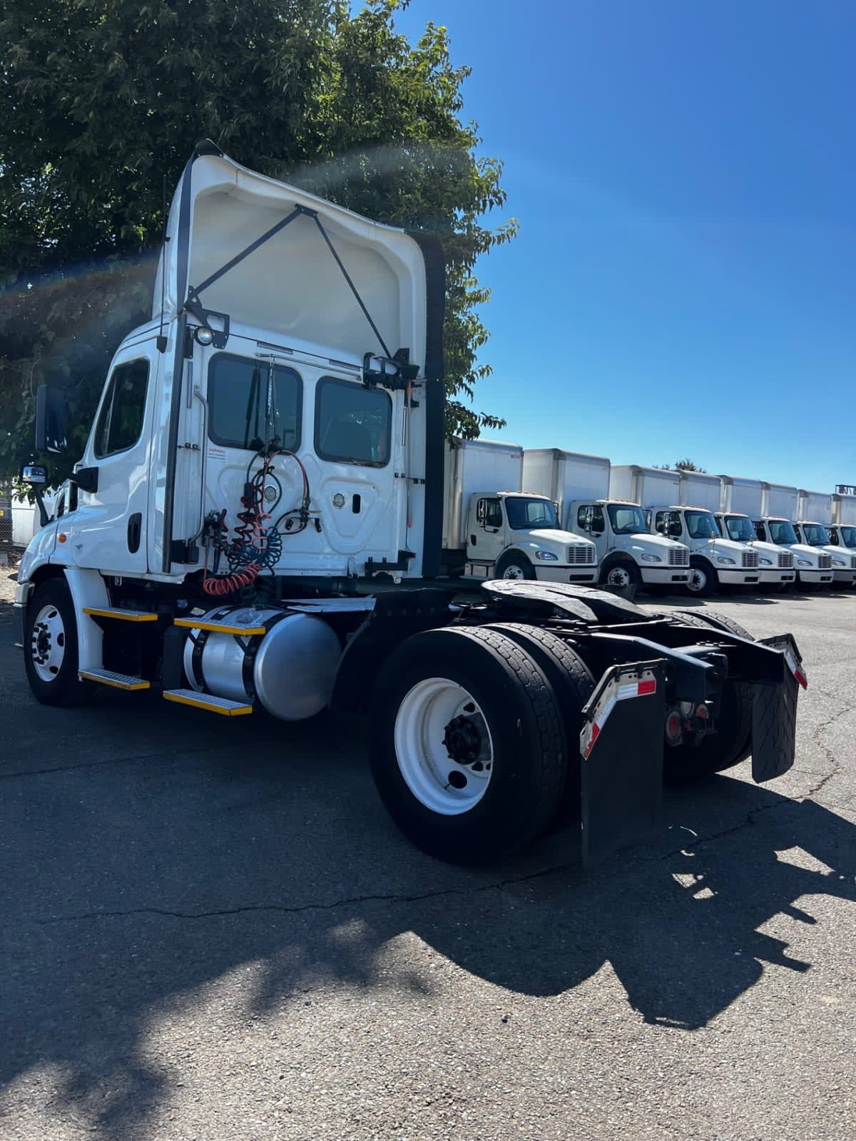 2018 Freightliner CASCADIA 113 683714