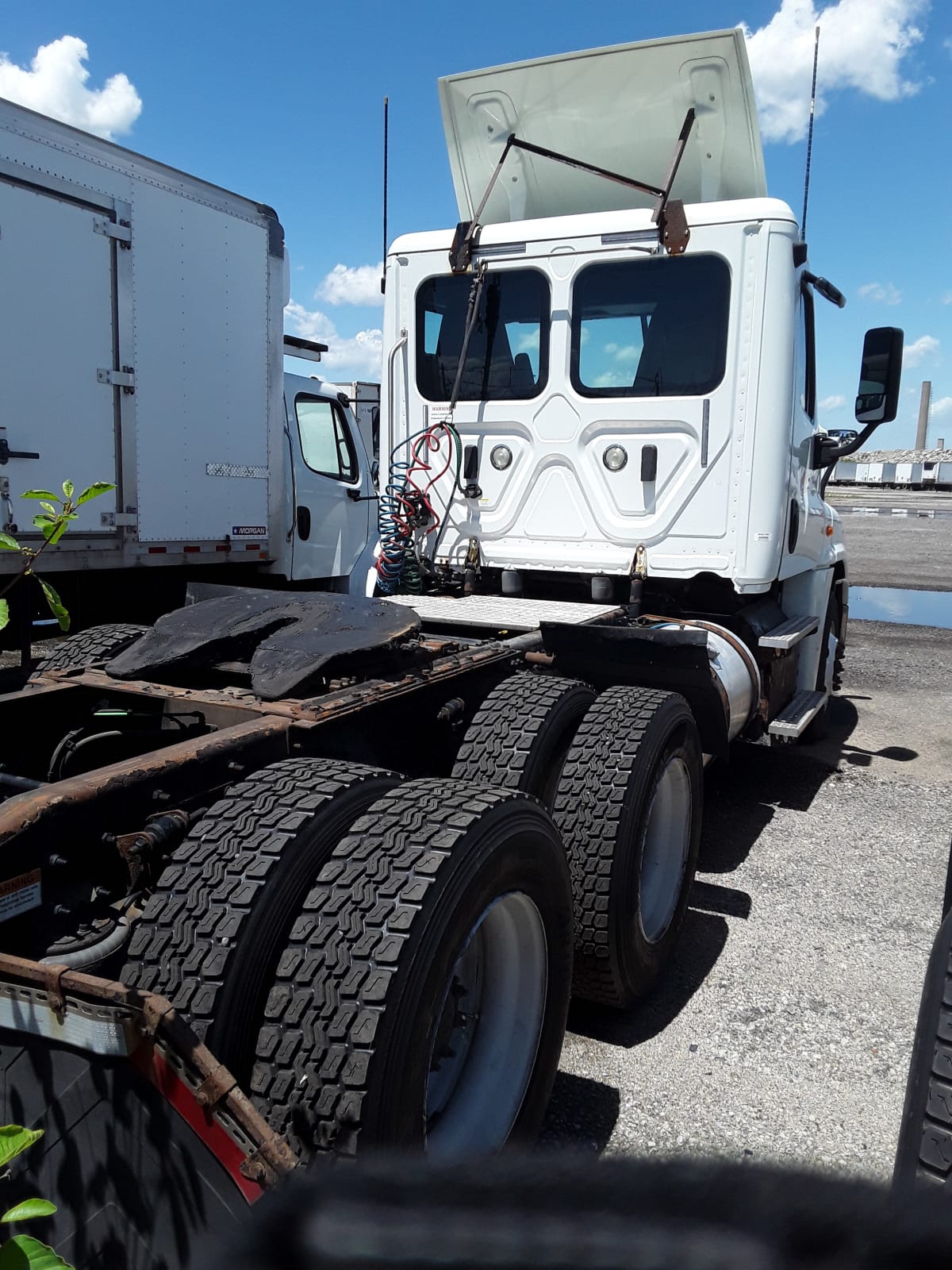 2018 Freightliner/Mercedes CASCADIA 125 684852