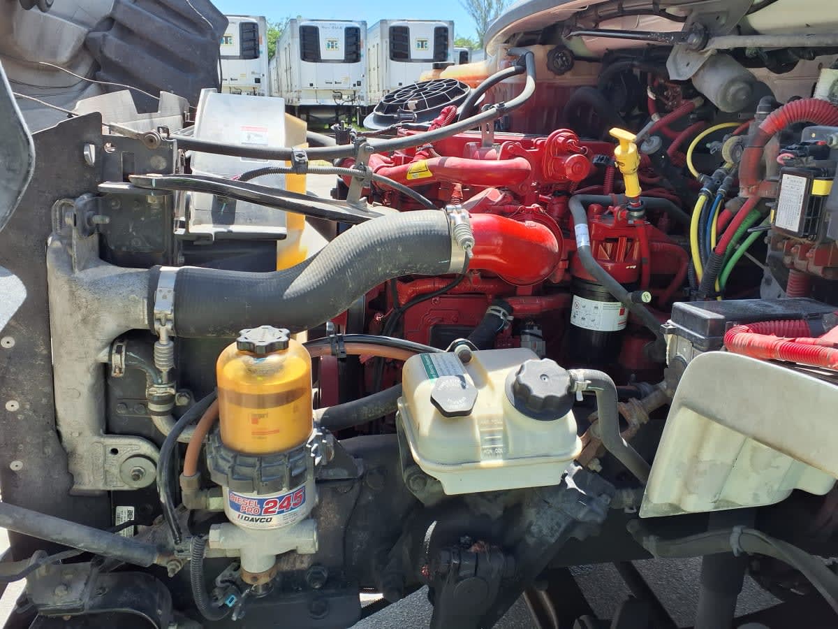 2018 Freightliner/Mercedes M2 106 684961
