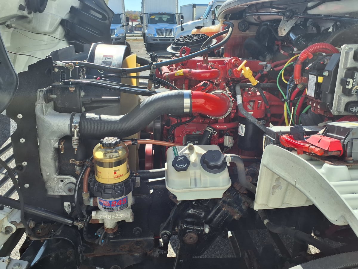 2018 Freightliner/Mercedes M2 106 687655