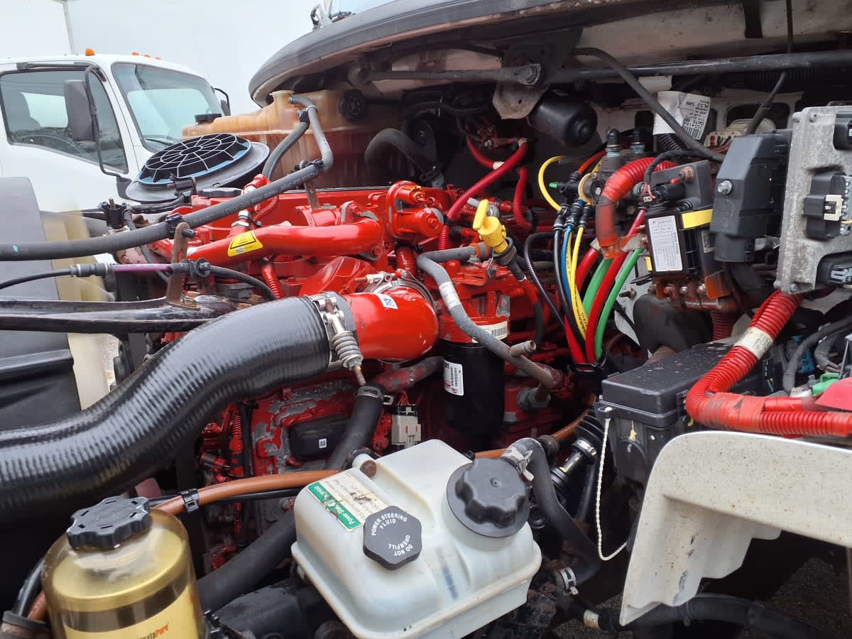 2018 Freightliner/Mercedes M2 106 752690