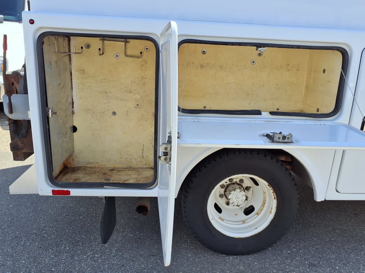 2017 Ford Motor Company F350 753331