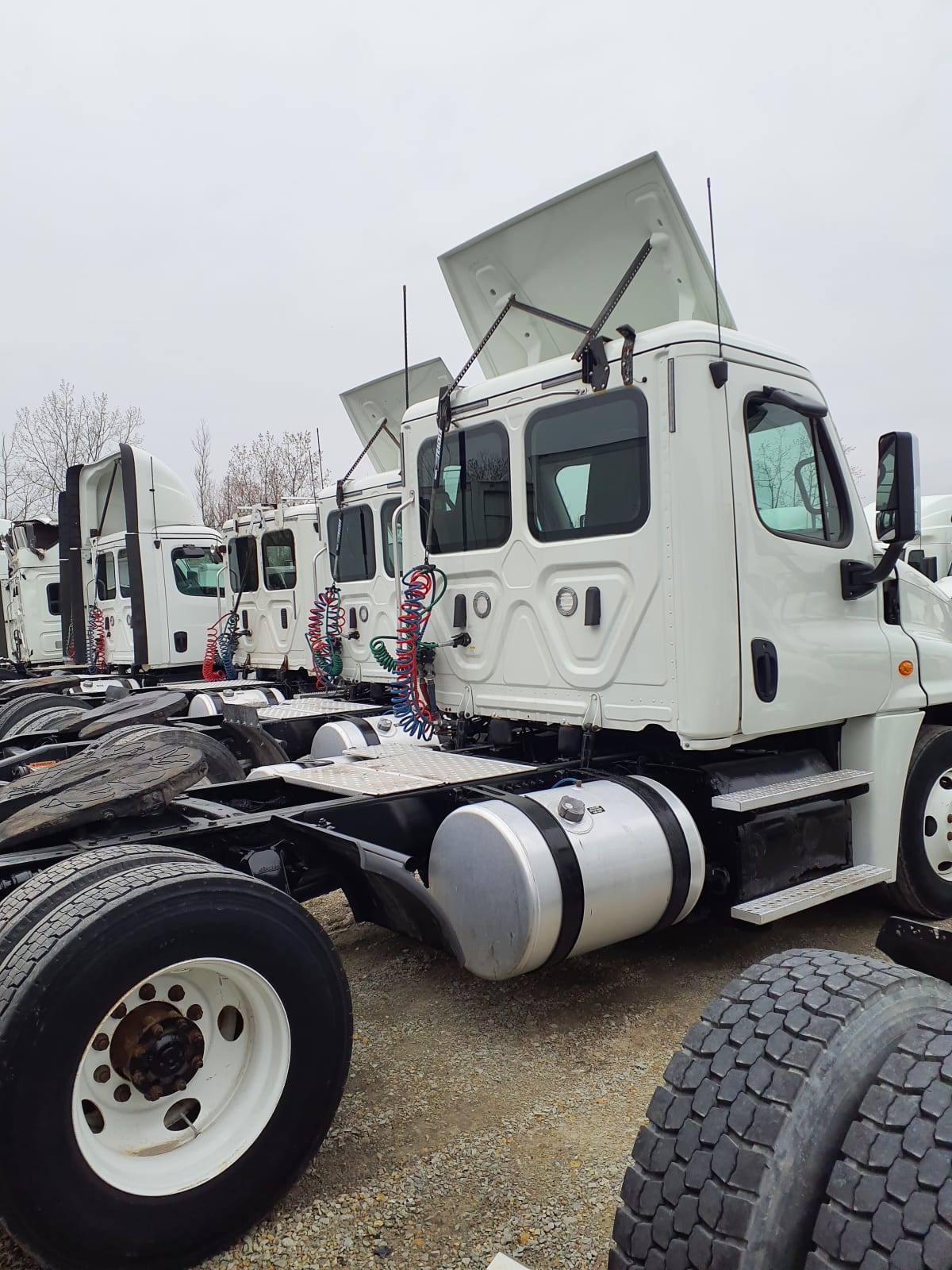 2018 Freightliner/Mercedes CASCADIA 125 765919