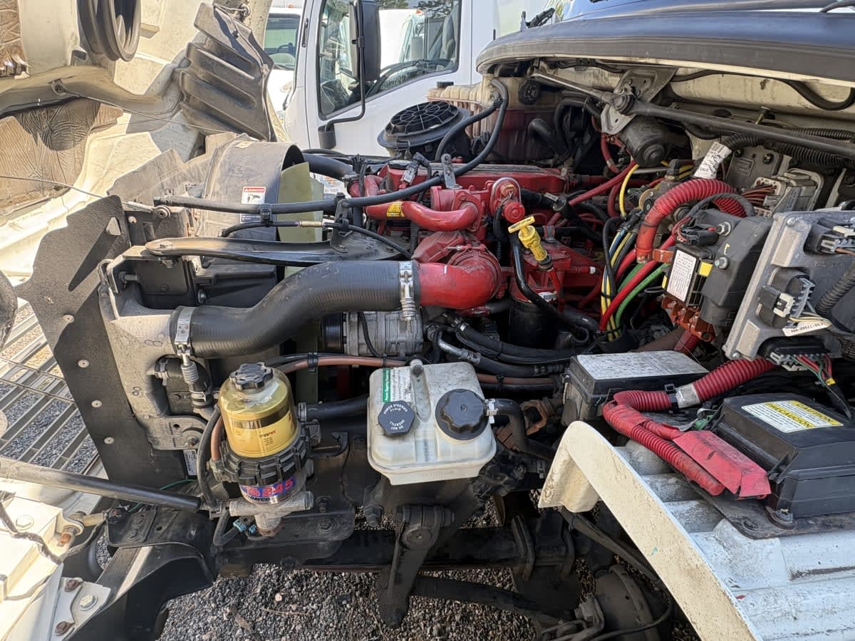 2018 Freightliner/Mercedes M2 106 766235