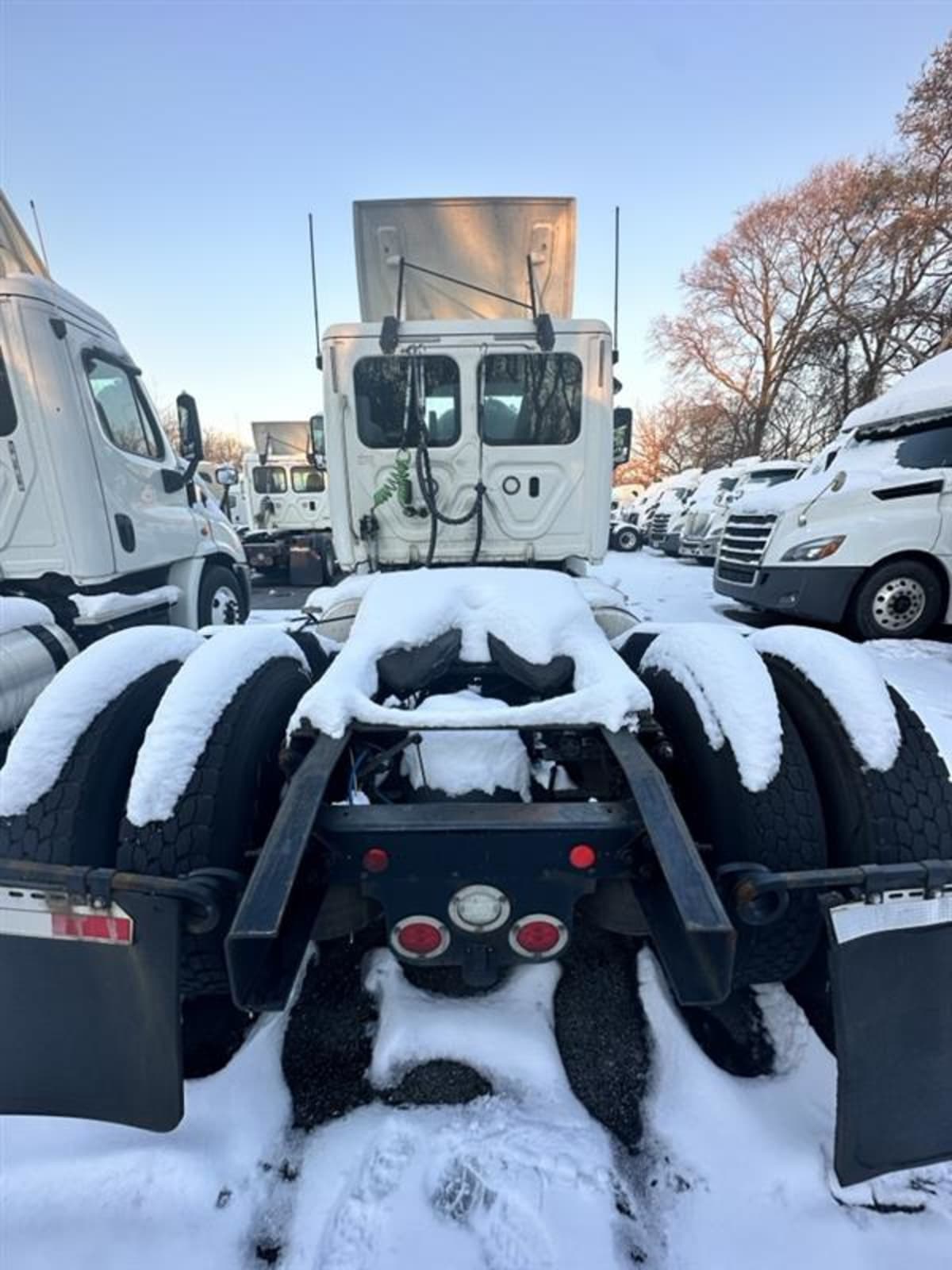 2018 Freightliner/Mercedes CASCADIA 113 769847