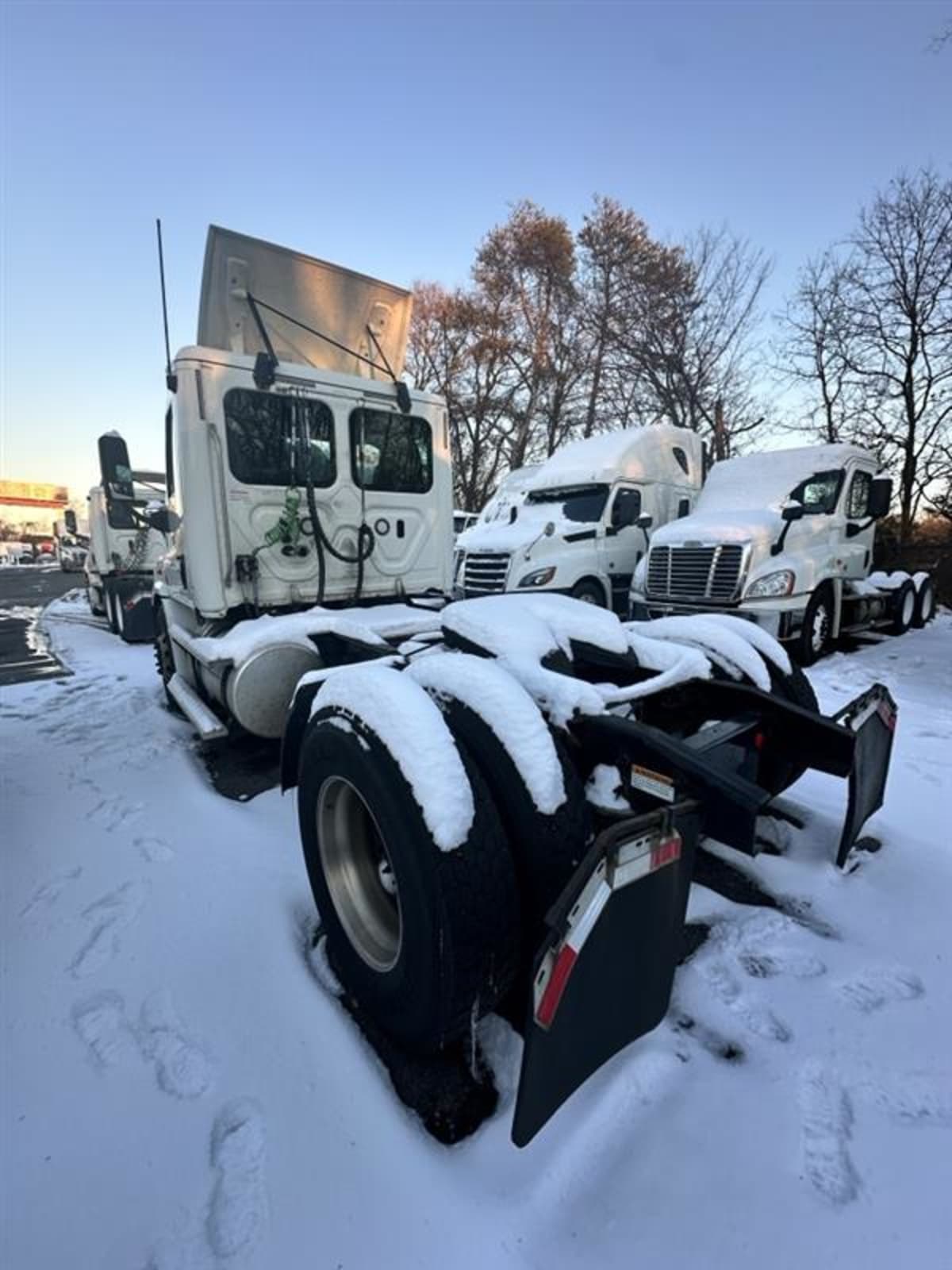 2018 Freightliner/Mercedes CASCADIA 113 769847