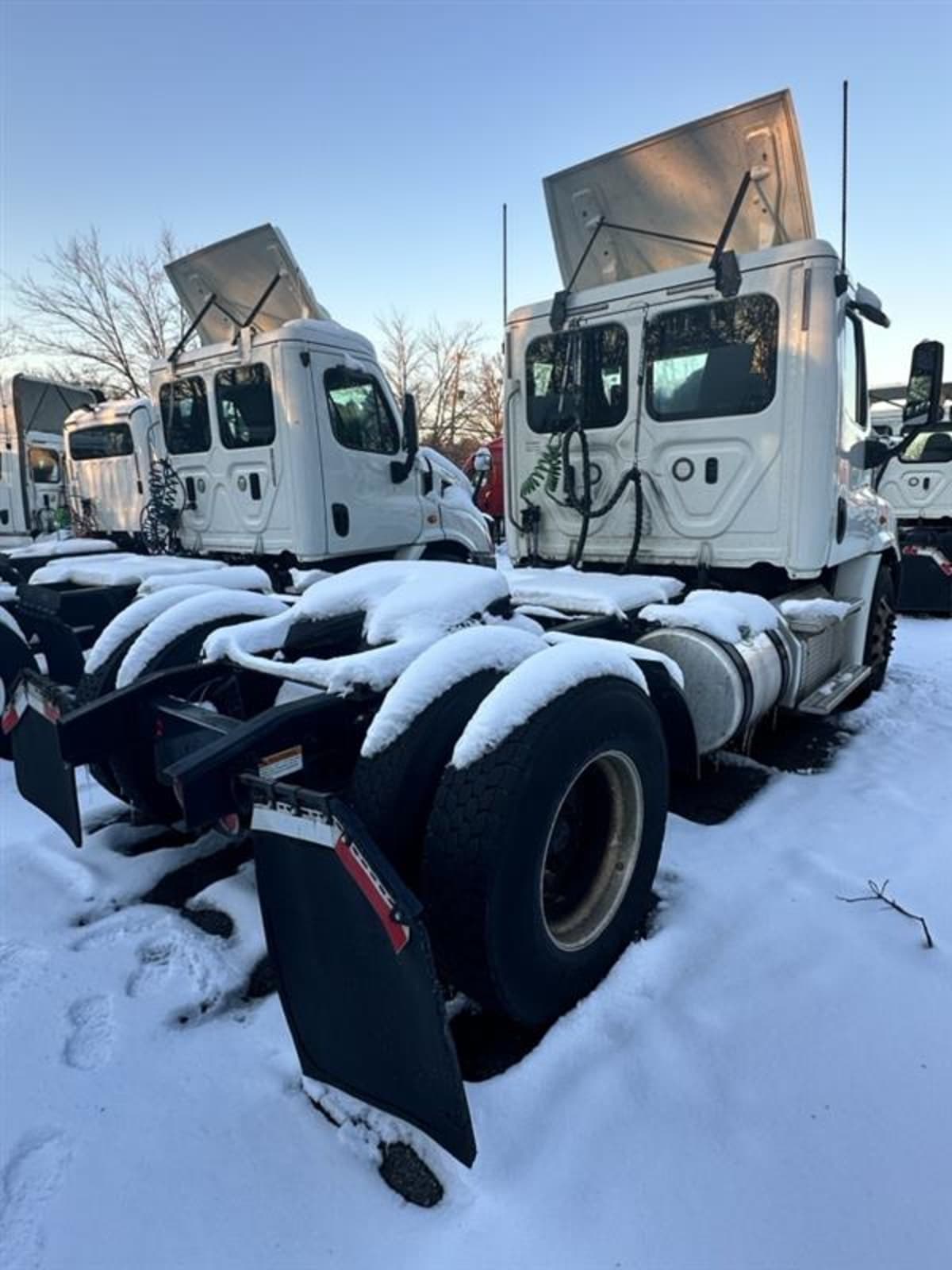 2018 Freightliner/Mercedes CASCADIA 113 769847