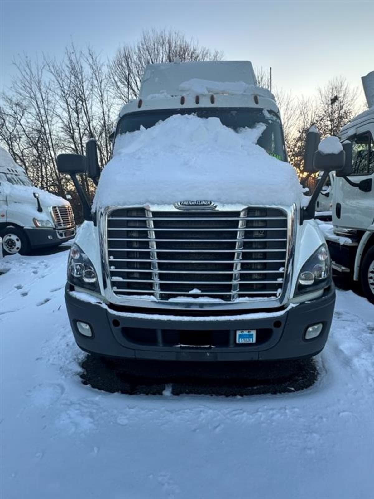 2018 Freightliner/Mercedes CASCADIA 113 769847