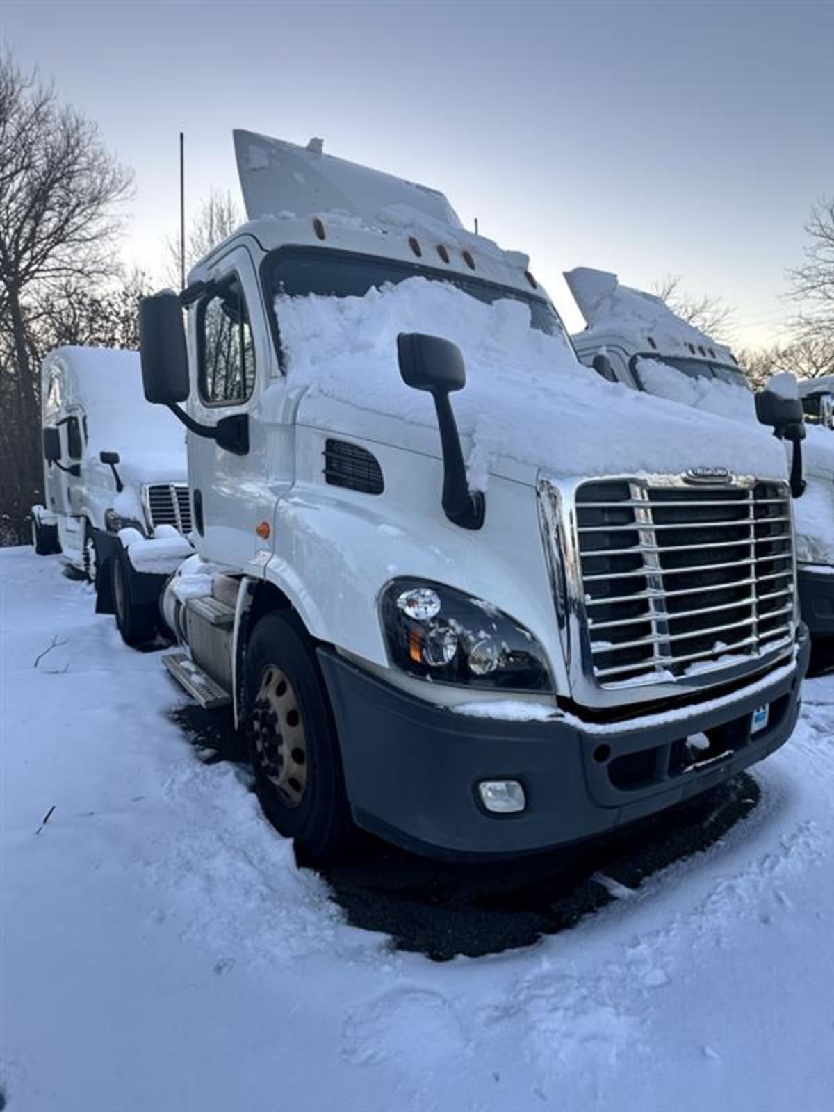 2018 Freightliner/Mercedes CASCADIA 113 769847