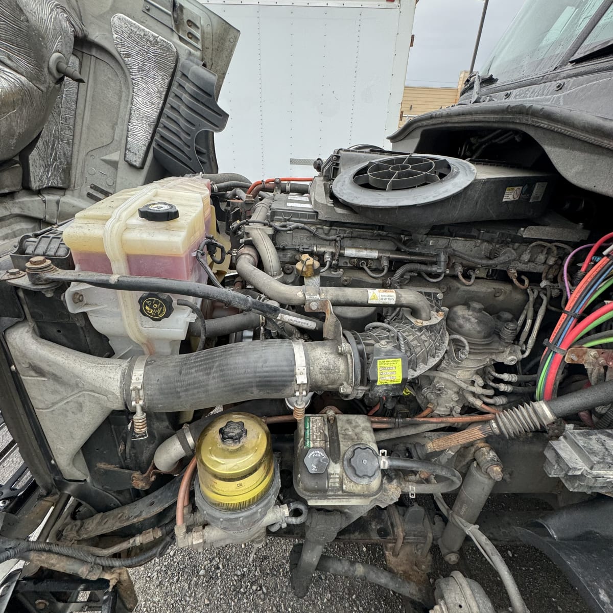 2018 Freightliner/Mercedes CASCADIA 125 772229