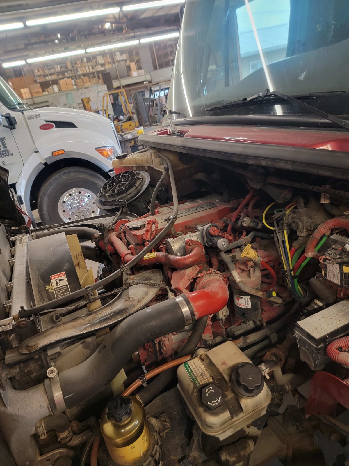 2018 Freightliner/Mercedes M2 106 773531