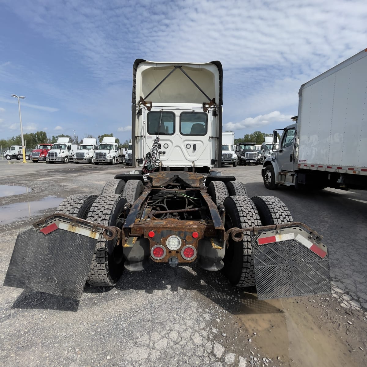 2019 Freightliner/Mercedes NEW CASCADIA PX12664 777150