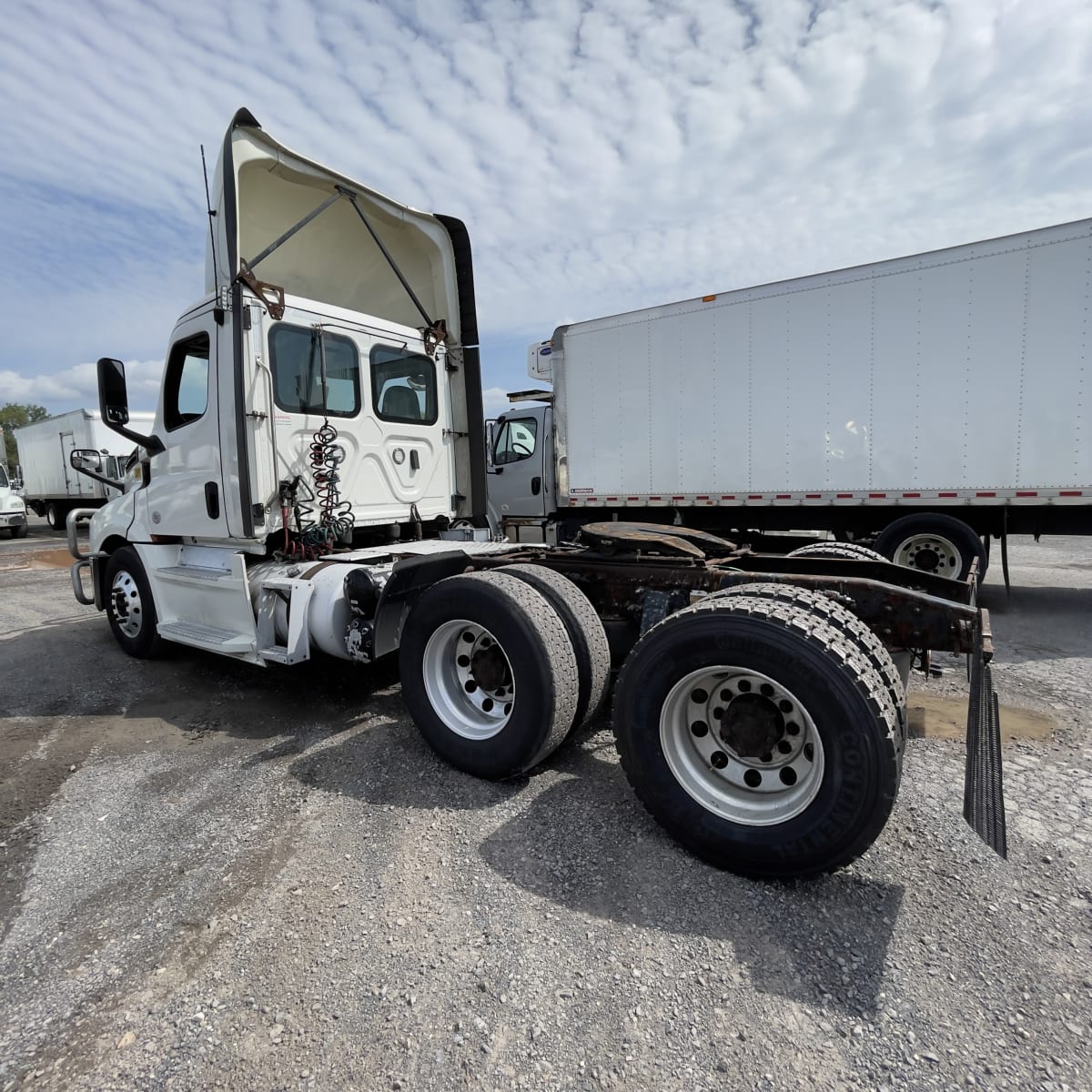 2019 Freightliner/Mercedes NEW CASCADIA PX12664 777150