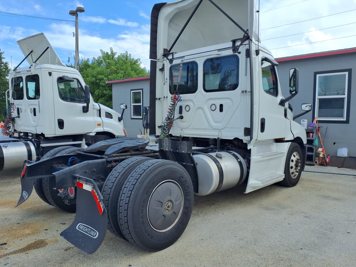 2019 Freightliner - image 4