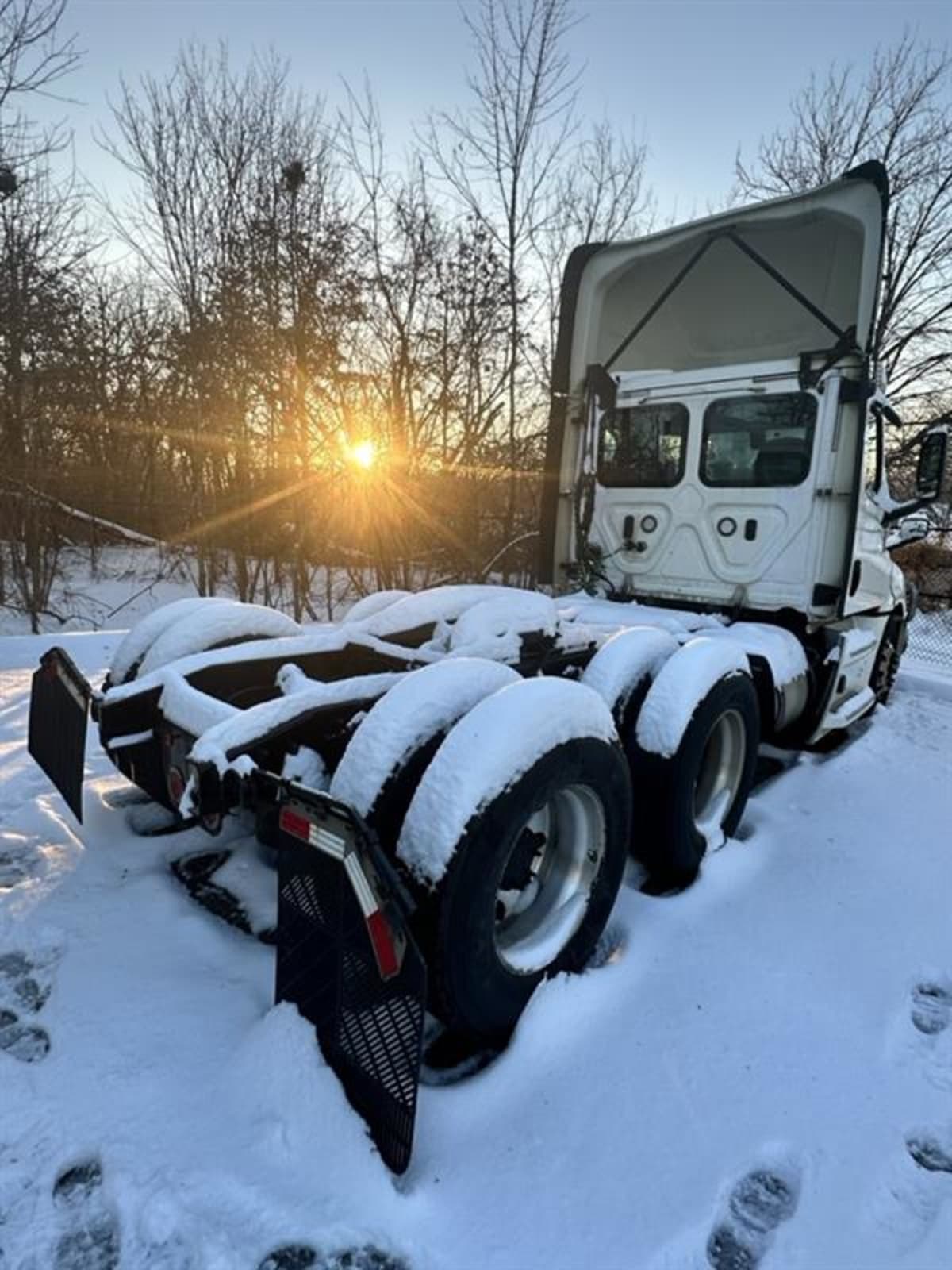 2019 Freightliner/Mercedes NEW CASCADIA PX12664 786653