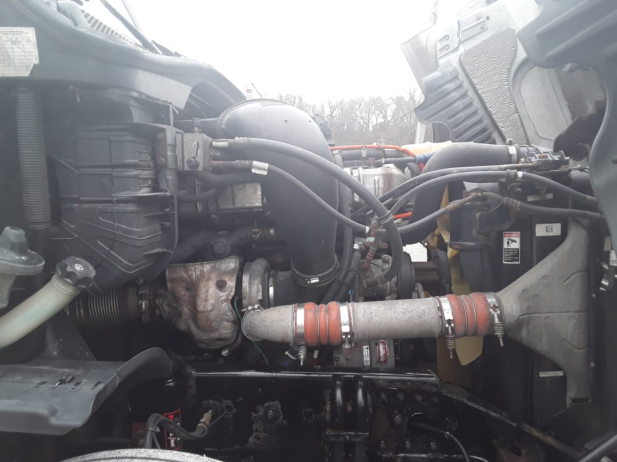 2019 Freightliner/Mercedes CASCADIA 125 786894